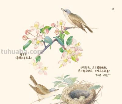 最美手抄水彩绘本,再现百年前的英伦乡野风情 | 福利 - 今日头条 最美手抄水彩绘本,再现百年前的英伦乡野风情 | 福利 - 图画吧TUHUABA