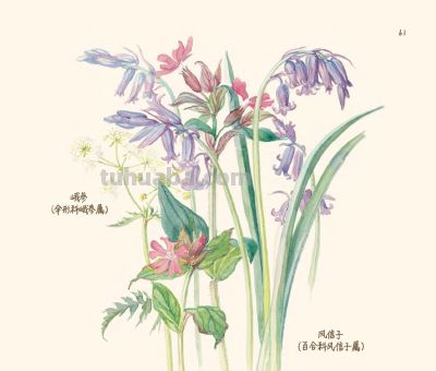 最美手抄水彩绘本,再现百年前的英伦乡野风情 | 福利 - 今日头条 最美手抄水彩绘本,再现百年前的英伦乡野风情 | 福利 - 图画吧TUHUABA