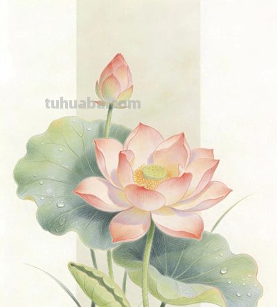 分享国风彩铅荷花插画一组 - 今日头条