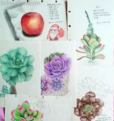 画友堂天的素描本，大家喜欢哪一幅？ - 图画吧TUHUABA