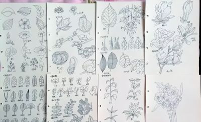 画友堂天的素描本，大家喜欢哪一幅？ - 图画吧TUHUABA