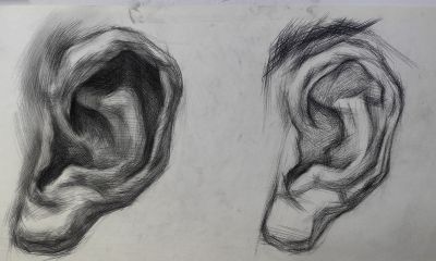 零基础也能会，耳朵素描3步画法，告别平面耳立体感瞬间拉满 - 今日头条