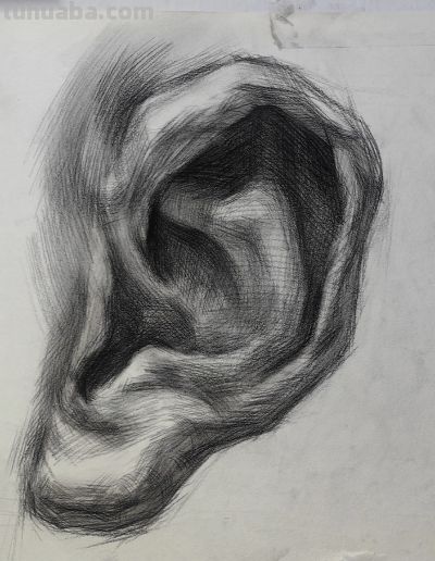 零基础也能会，耳朵素描3步画法，告别平面耳立体感瞬间拉满 - 图画吧TUHUABA