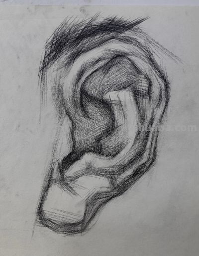 零基础也能会，耳朵素描3步画法，告别平面耳立体感瞬间拉满 - 图画吧TUHUABA