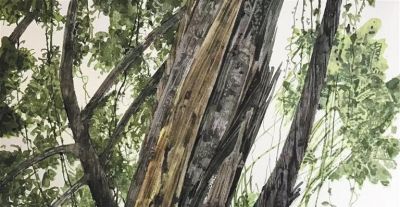 李建云水彩作品选登 - 图画吧TUHUABA