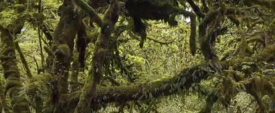 风光摄影技巧-风景似乎在试图告诉你一些事情 - 今日头条