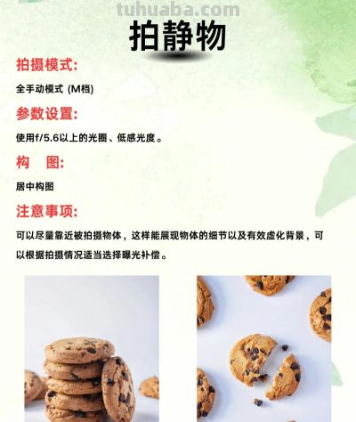 九种摄影技巧，助你定格美好瞬间 - 图画吧TUHUABA