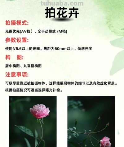 九种摄影技巧，助你定格美好瞬间 - 图画吧TUHUABA