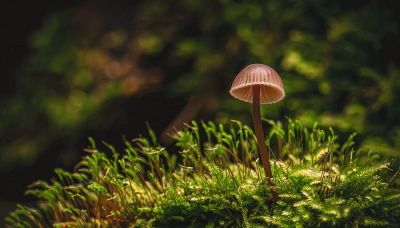 创意摄影来了，68个摄影技巧，能不能全面提升你的摄影水平？ - 图画吧TUHUABA