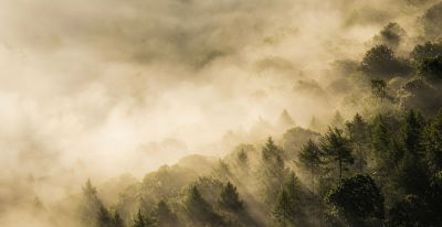 创意摄影来了，68个摄影技巧，能不能全面提升你的摄影水平？ - 图画吧TUHUABA