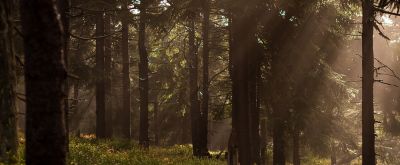 创意摄影来了，68个摄影技巧，能不能全面提升你的摄影水平？ - 图画吧TUHUABA