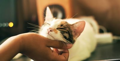 创意摄影来了，68个摄影技巧，能不能全面提升你的摄影水平？ - 图画吧TUHUABA