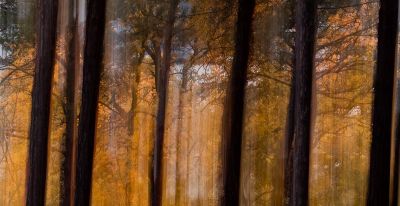 创意摄影来了，68个摄影技巧，能不能全面提升你的摄影水平？ - 图画吧TUHUABA