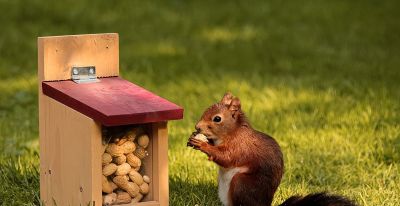 创意摄影来了，68个摄影技巧，能不能全面提升你的摄影水平？ - 图画吧TUHUABA