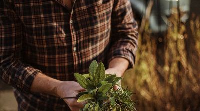 创意摄影来了，68个摄影技巧，能不能全面提升你的摄影水平？ - 图画吧TUHUABA