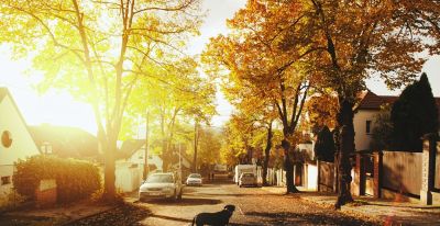 创意摄影来了，68个摄影技巧，能不能全面提升你的摄影水平？ - 图画吧TUHUABA