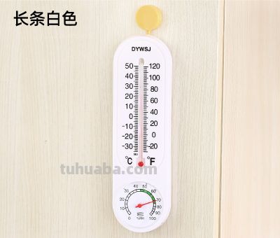 冬天养绿萝发财树，记住“宁干勿湿”，告别黄叶烂根！ - 图画吧TUHUABA