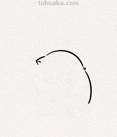 懊恼的小猫丨涂鸦简笔画分享 - 图画吧TUHUABA