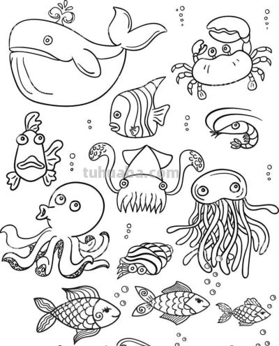 海洋动物简笔画线稿图 - 图画吧TUHUABA
