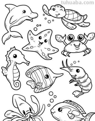 海洋动物简笔画线稿图 - 图画吧TUHUABA