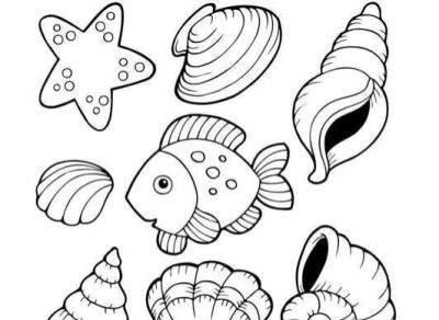 海洋动物简笔画线稿图 - 图画吧TUHUABA