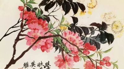 赵之谦的《花卉册》用笔画出花的灵魂，带你走进中国画的花海世界 - 图画吧TUHUABA