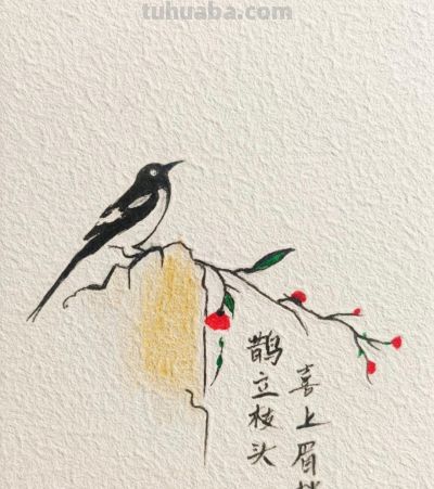 春立梢头鹊登高 花开喜讯到丨燕子简笔画喜鹊图分享 - 今日头条