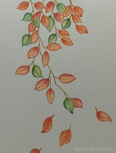 彩铅画分享 - 图画吧TUHUABA