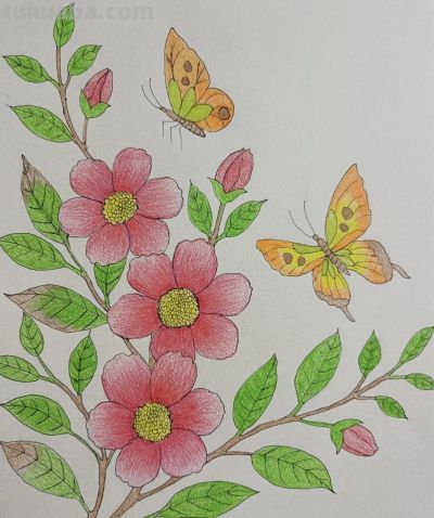 彩铅画分享 - 图画吧TUHUABA