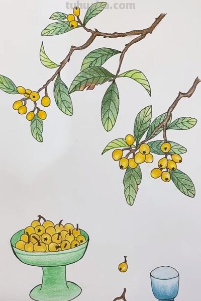 彩铅画分享 - 图画吧TUHUABA