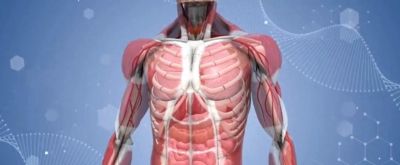 素描老师打死不说的人体速写“5大神技”骚操作一看就会 - 今日头条