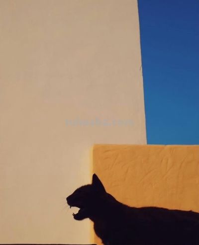 如何合理分析一张照片的色彩？ - 图画吧TUHUABA