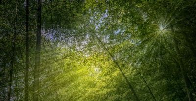 摄影师必学的手机拍摄避坑技巧，提升作品质感 - 图画吧TUHUABA