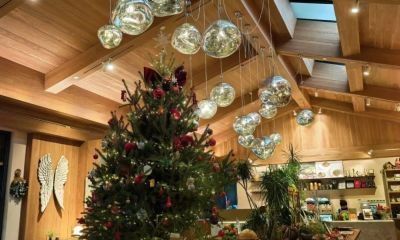 在崇明享“环球美食汇” - 图画吧TUHUABA