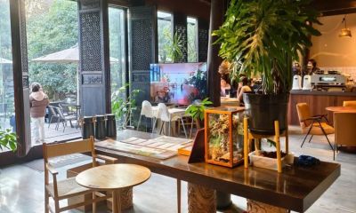 在崇明享“环球美食汇” - 图画吧TUHUABA