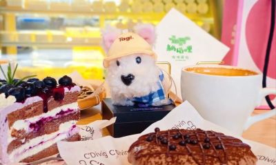 在崇明享“环球美食汇” - 图画吧TUHUABA