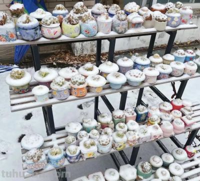 山东冬天养多肉，1夜醒来，被大雪覆盖了，多肉都见不到了 - 图画吧TUHUABA