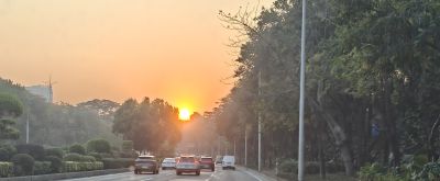 清晨阳光下的多肉，朝阳和晚霞才是最佳滤镜，可惜转瞬即逝 - 图画吧TUHUABA