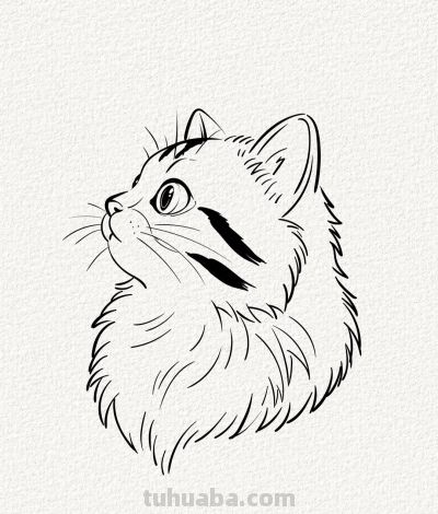 萌宠猫丨涂鸦简笔画 - 今日头条