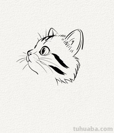 萌宠猫丨涂鸦简笔画 - 图画吧TUHUABA