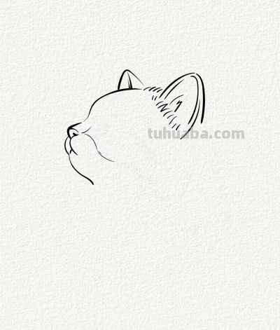 萌宠猫丨涂鸦简笔画 - 图画吧TUHUABA