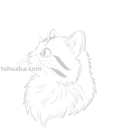 萌宠猫丨涂鸦简笔画 - 图画吧TUHUABA