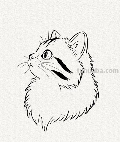 萌宠猫丨涂鸦简笔画 - 图画吧TUHUABA
