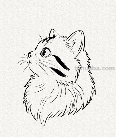 萌宠猫丨涂鸦简笔画 - 图画吧TUHUABA