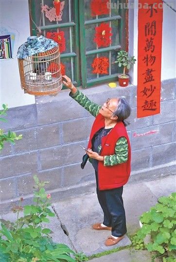 “就算是棵歪脖子树 也能开出花来” - 图画吧TUHUABA