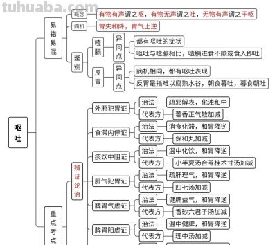 中医思维导图 - 图画吧TUHUABA