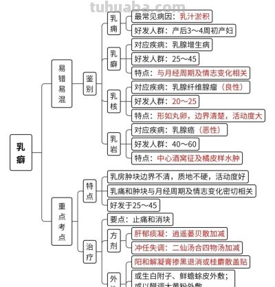 中医思维导图 - 图画吧TUHUABA