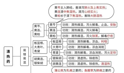 中医思维导图 - 图画吧TUHUABA