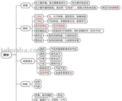 中医思维导图 - 图画吧TUHUABA