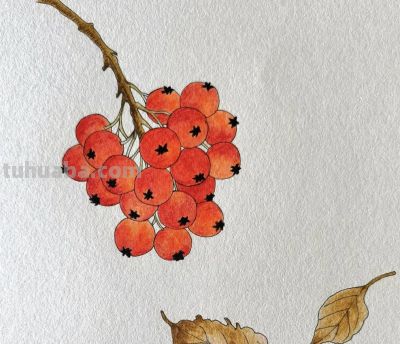 彩铅画欣赏 - 图画吧TUHUABA